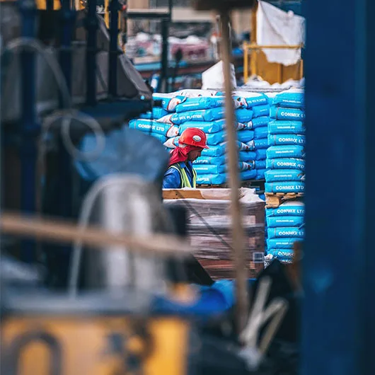 project img
